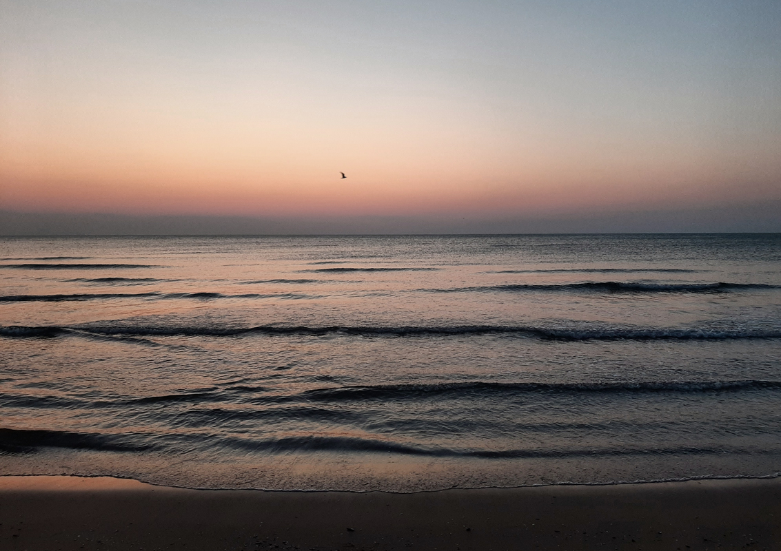 orizzonte Orizzonte tra mare e cielo con un gabbiano che vola